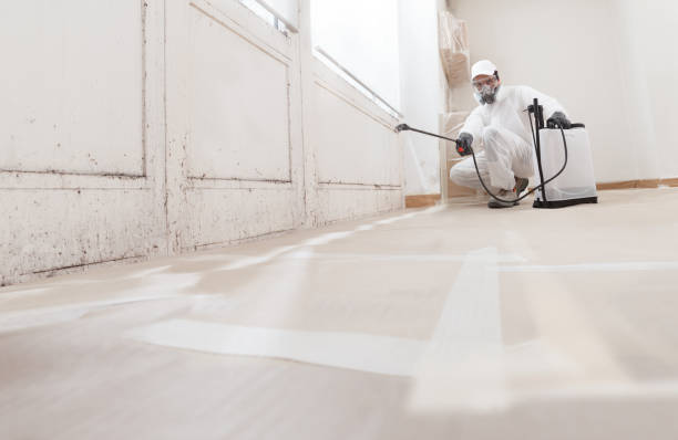 24/7 Emergency Basement Mold Remediation experts in Paramus, NJ
