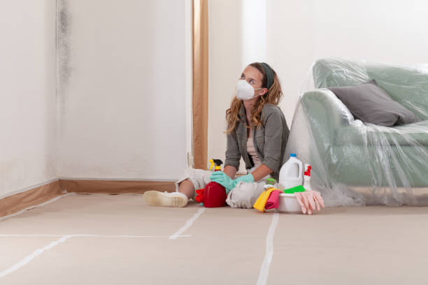 Reliable Basement Mold Remediation contractor in Paramus, NJ by Car Mold Remediation